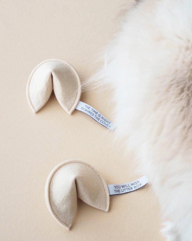 Two fabric fortune cookies with humorous fortunes sit beside a fluffy cat on a beige surface. One fortune reads “THE TIME IS RIGHT TO SHRED THE COUCH,” the other predicts, “YOU WILL MISS THE LITTER BOX.”.