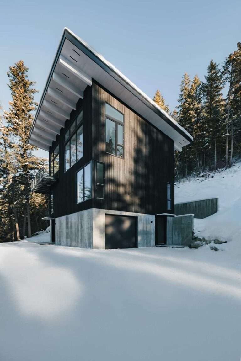 A Modern Cabin Rises Above the Trees to Maximize the Views