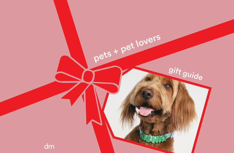 A pink background with a red ribbon graphic, featuring a photo of a brown dog and text reading