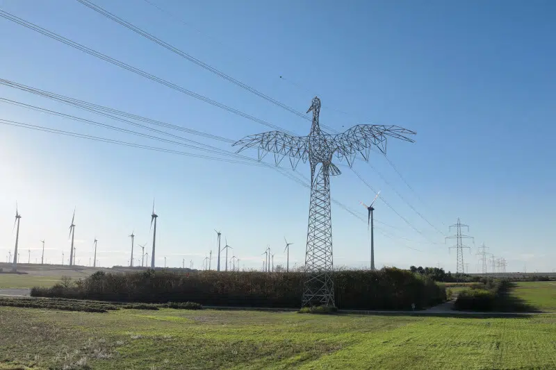 Austrian Power Giant sculpture of a bird