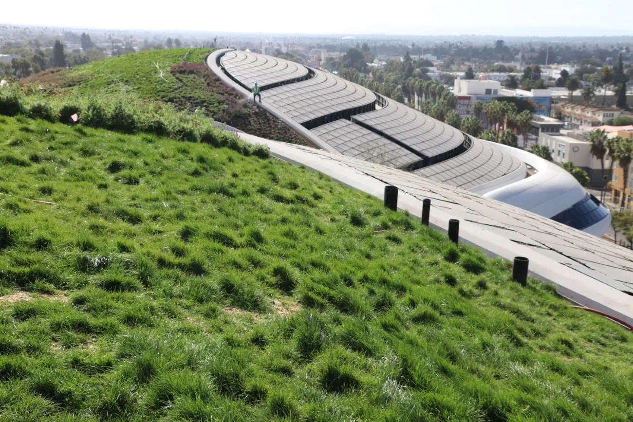 Lucas Museum of Narrative Art Under Construction