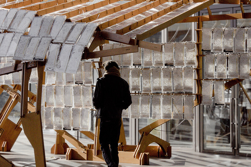 aditya mandlik on how decomposition becomes design method in worm-driven architecture