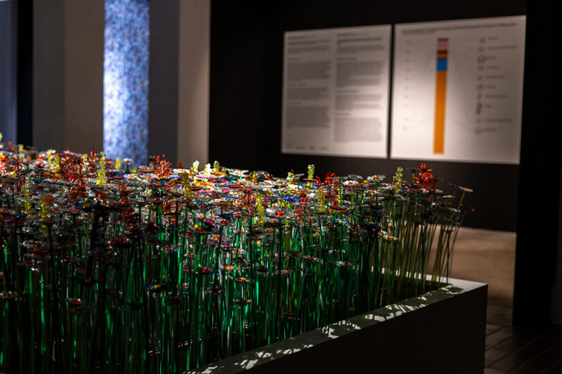 A display of colorful glass flowers on tall stems in a gallery setting, with informational posters on the wall in the background.
