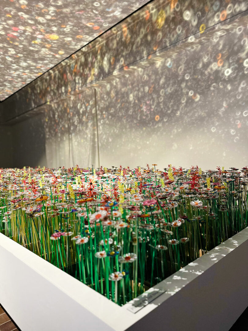 A display of artificial flowers in a rectangular container with light creating colorful reflections and circular patterns on the walls and ceiling, beautifully reflecting diversiveness mo man tai.