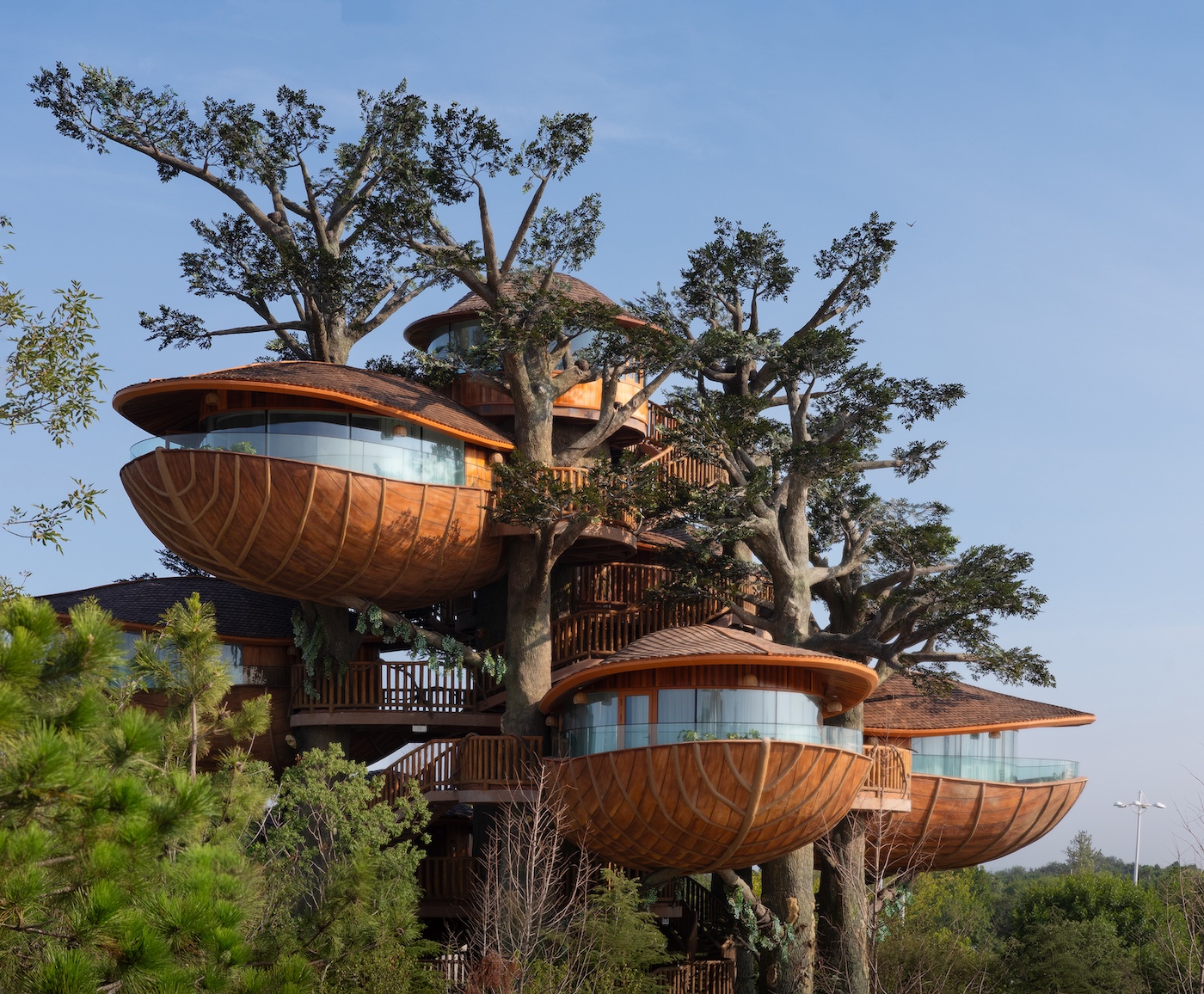 Forest Nests Treepod Project by Doarchiwow