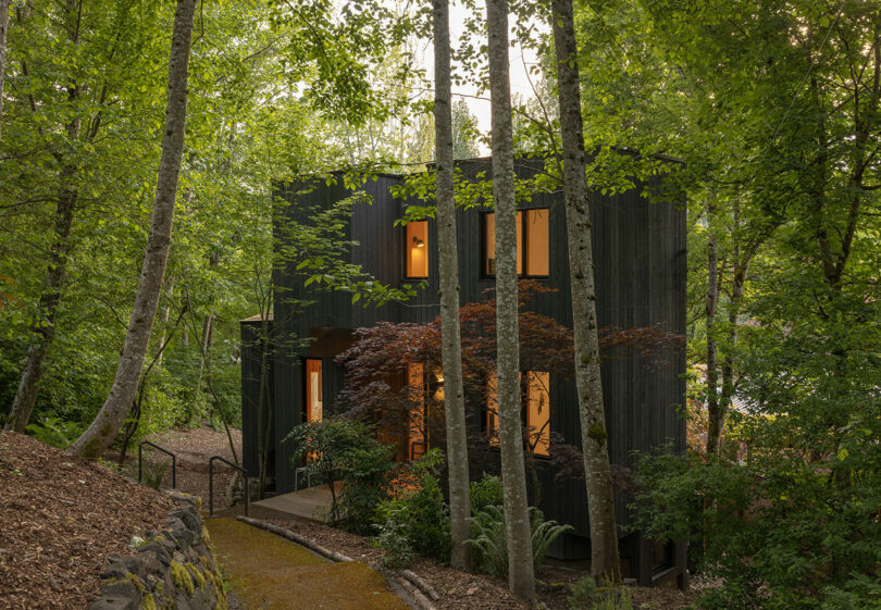 A modern, dark-wood house with warm-lit windows is surrounded by tall trees and dense greenery on a forested path.