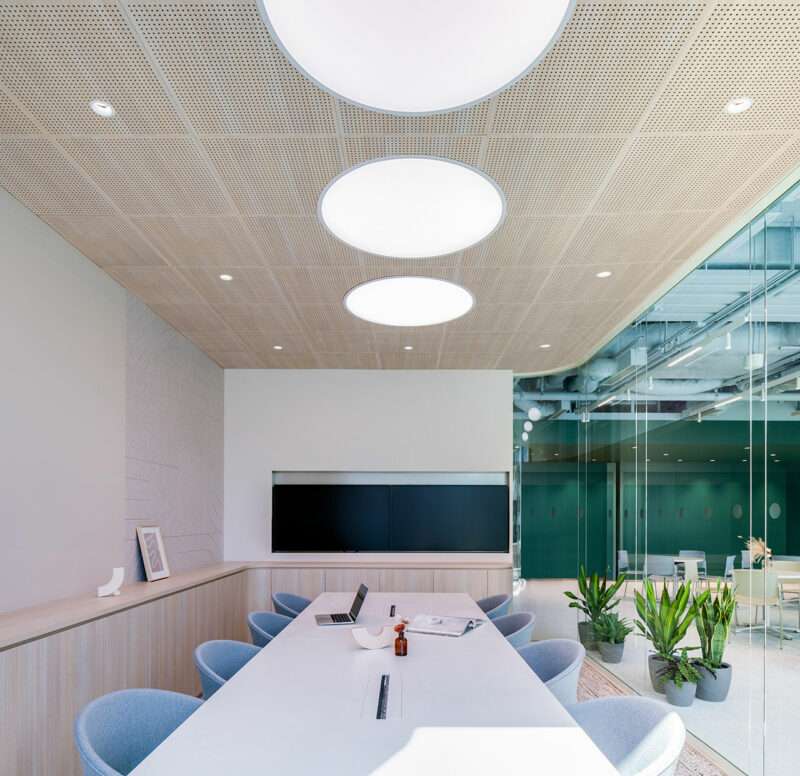 Modern conference room with a long white table, blue chairs, ceiling with large round lights, and glass wall overlooking a bright area with plants.