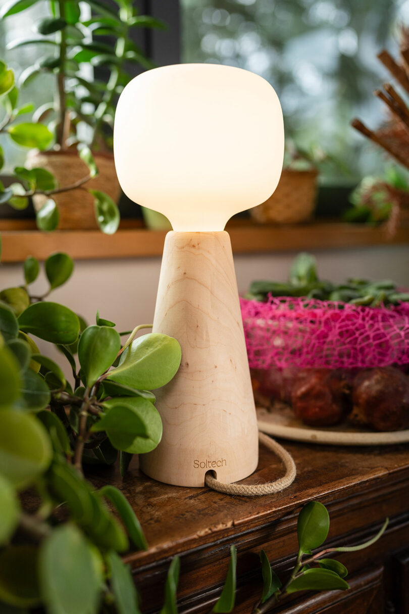A modern Soltech table lamp with a rounded white shade and wooden base sits among green plants on a wooden surface near a window.