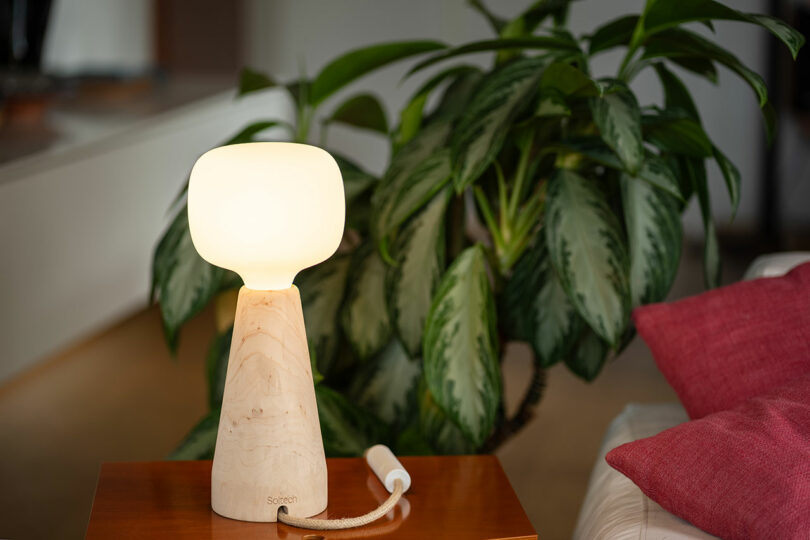A modern wooden table lamp with a glowing frosted bulb sits on a wooden table next to a pink cushion, while a Soltech leafy green plant adds lush vibrancy in the background.