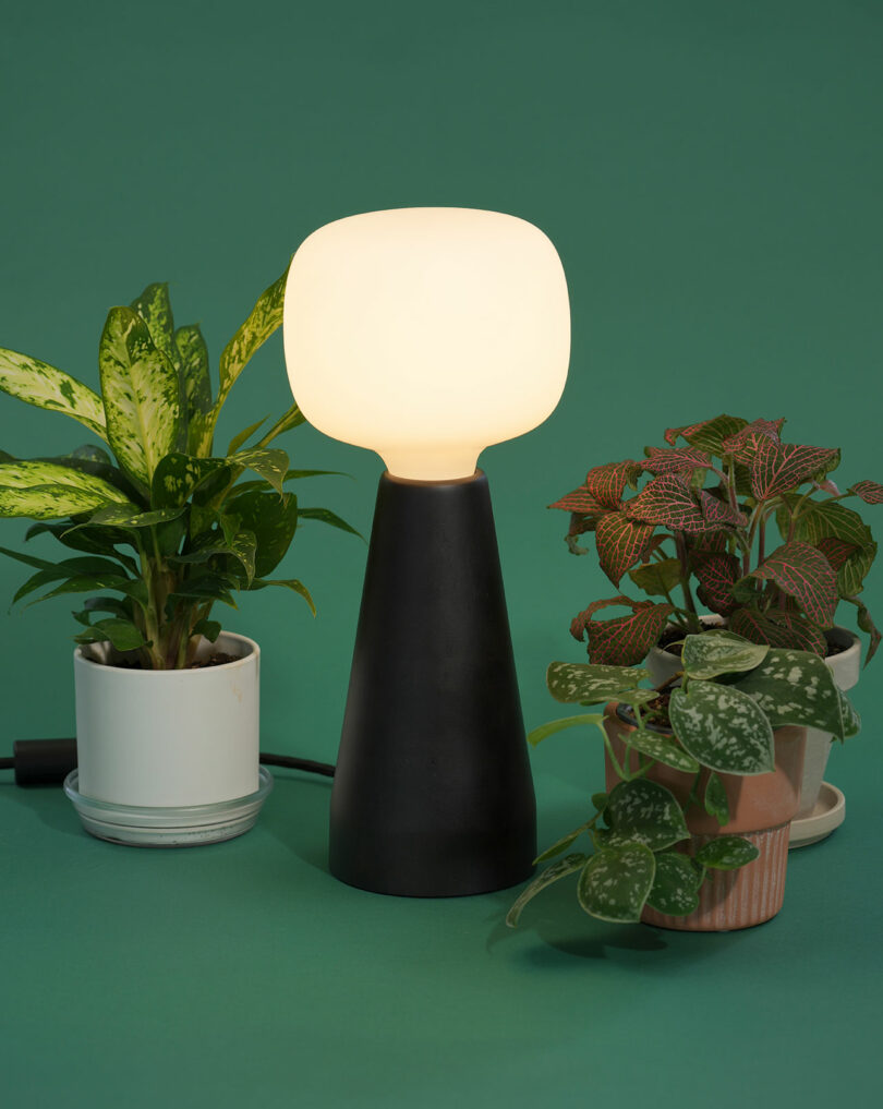 A modern Soltech table lamp with a glowing white shade sits between two potted plants against a green background.