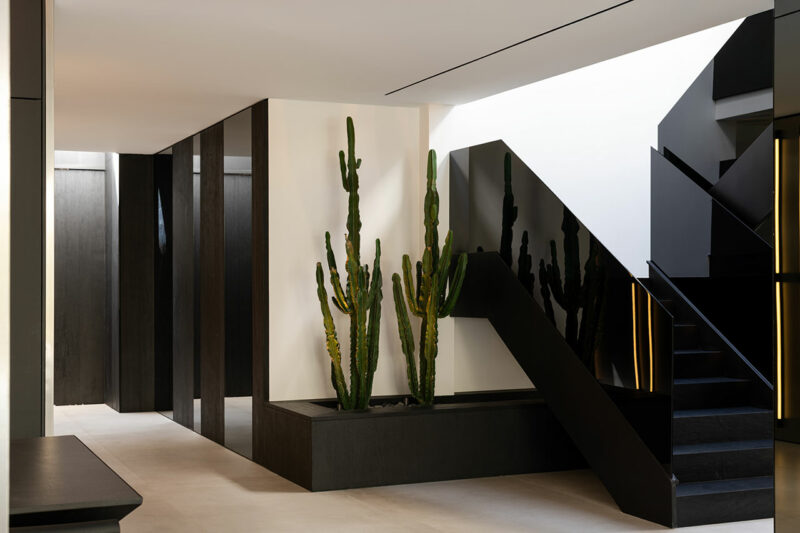 Modern interior with black staircase, built-in planter containing tall cacti, light-colored floor, and dark wall panels.
