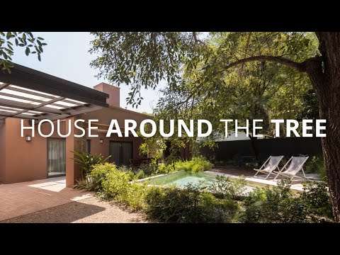 This House Let a Tree Design the Architecture | House Around the Tree