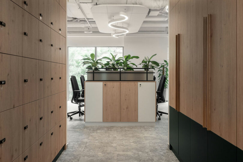 Hallway with wooden lockers on the left, a BIT CREATIVE storage cabinet topped with plants in the center, and an office meeting area with chairs and a window in the background.
