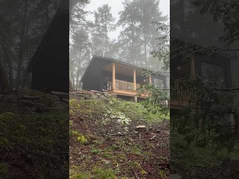 Touring a 700 square foot Cottage Style Prefab Home in the Forest! #hometour