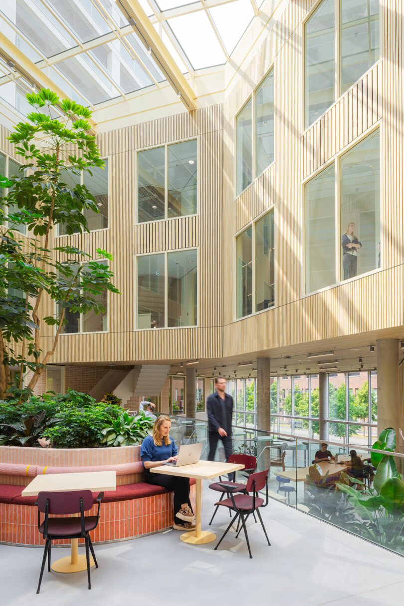 Bright indoor atrium with large windows, plants, seating area, and people working or walking on different levels.