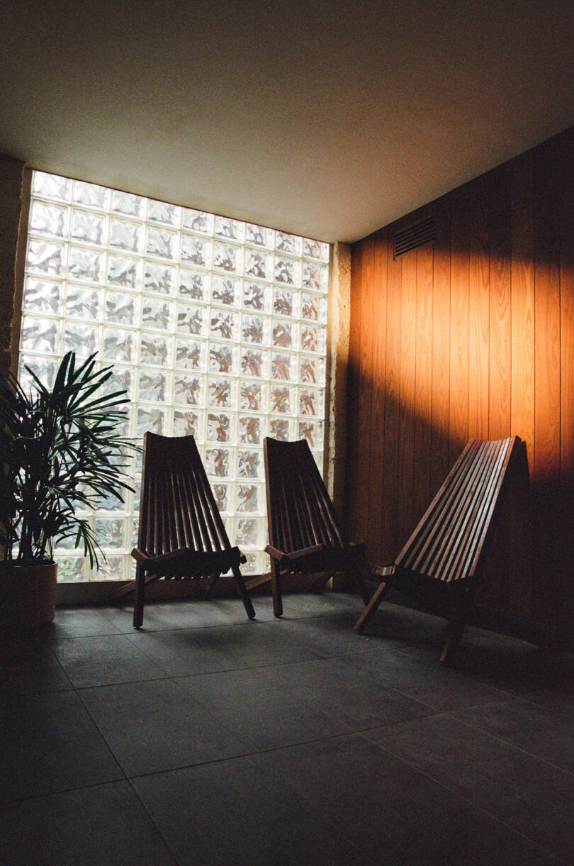 Three wooden lounge chairs are arranged near a glass block window and a potted plant in a sunlit corner with wooden panel walls.