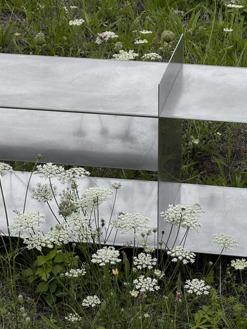 A minimalist metal bench with reflective surfaces is placed among tall grass and white wildflowers.