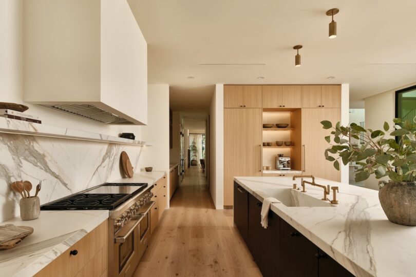 Modern kitchen with marble countertops, light wood cabinets, stainless steel appliances, open shelving, and a large island with a sink and potted plant. Natural light fills the space.