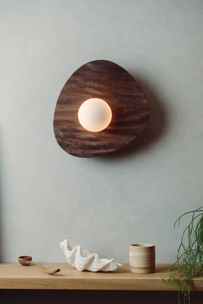 A modern wall sconce with a circular bulb and wooden backplate above a shelf holding a shell, ceramic cup, wooden spoon, and a potted plant.