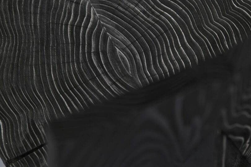 Close-up of dark wood showing detailed concentric growth rings and grain patterns, with part of the image in shadow