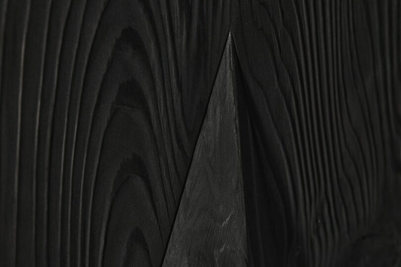 Close-up of dark wood showing detailed concentric growth rings and grain patterns, with part of the image in shadow