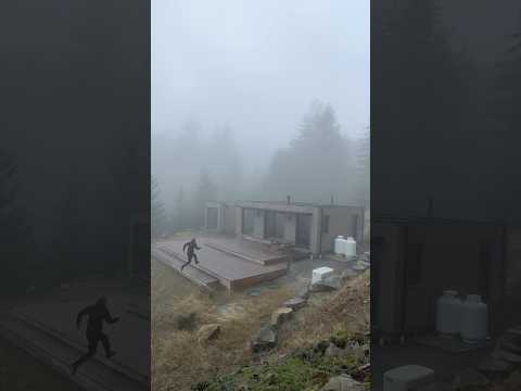 Touring a 750 square foot Prefab Home in the middle of the Forest #hometour