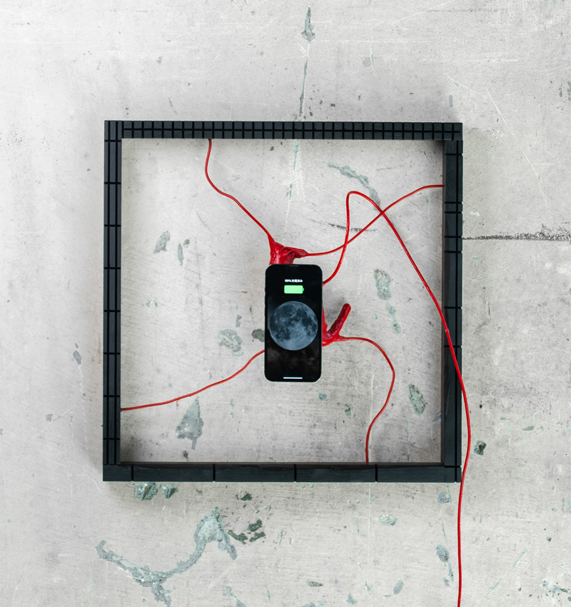 your heart specimen 1