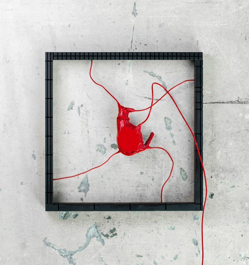 your heart specimen 2