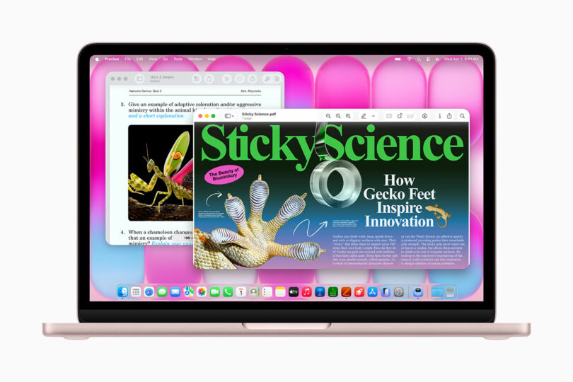 A sleek Apple laptop screen displays multiple overlapping browser windows, including a science article about gecko feet and an educational worksheet with images of a chameleon and a mantis.