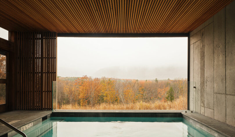 Indoor pool with a view of autumn trees and misty hills, framed by a wood-paneled ceiling and concrete walls—an inviting retreat reminiscent of Design Within Reach style.
