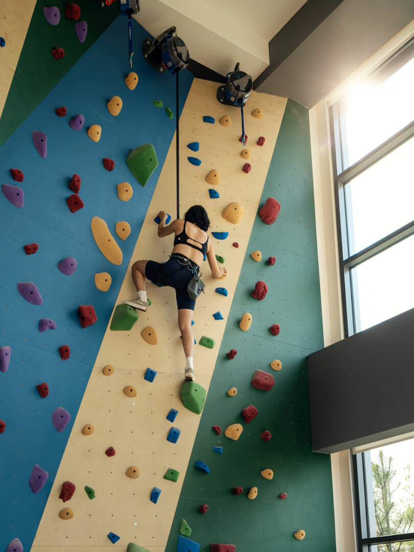 A person climbs an indoor rock wall with colorful holds, secured by a harness and rope, as sunlight streams through large windows designed by Morris Adjmi Architects.
