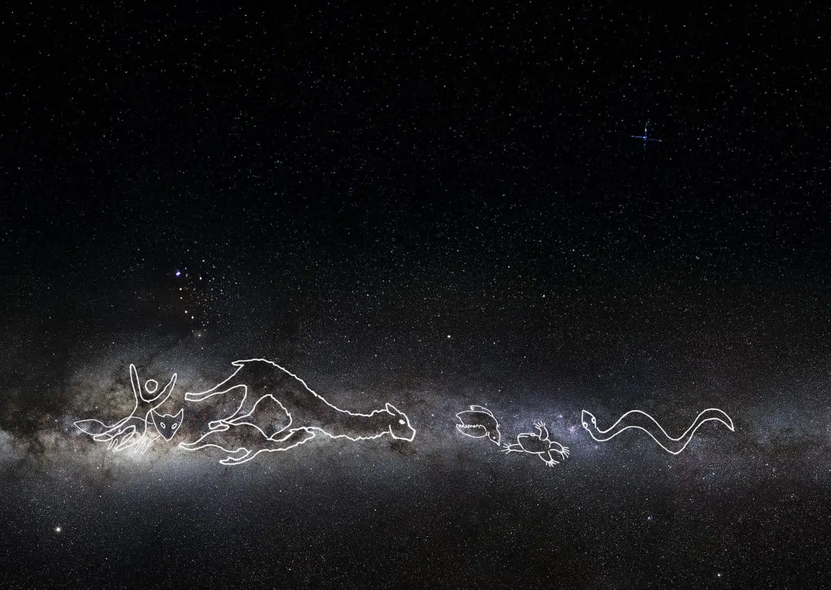 Tomas Saraceno When the Llama Drinks from the Stars and the Spider Weaves Cycles of Life, Where the Sky Touches the Earth and Time Expands Like Salt, the Sanctuary of Water Are Fair Clouds on the Horizon, 2025. &copy; Photography by Studio Tom&aacute;s Saraceno