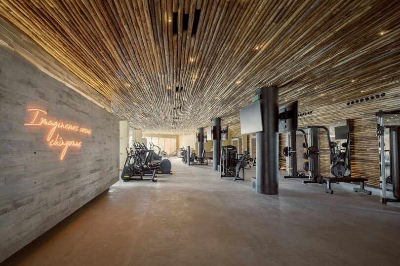 Modern gym with cardio and strength equipment, wooden ceiling and walls, large windows, and a neon sign on a concrete wall.