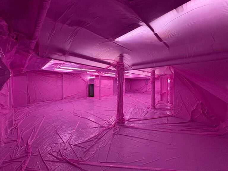 how penique productions dissolves architecture into glowing, immersive atmospheres