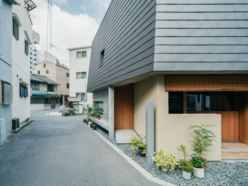 Modern house with dark siding and wooden accents on a quiet urban street, with several potted plants along the entrance and sidewalk.