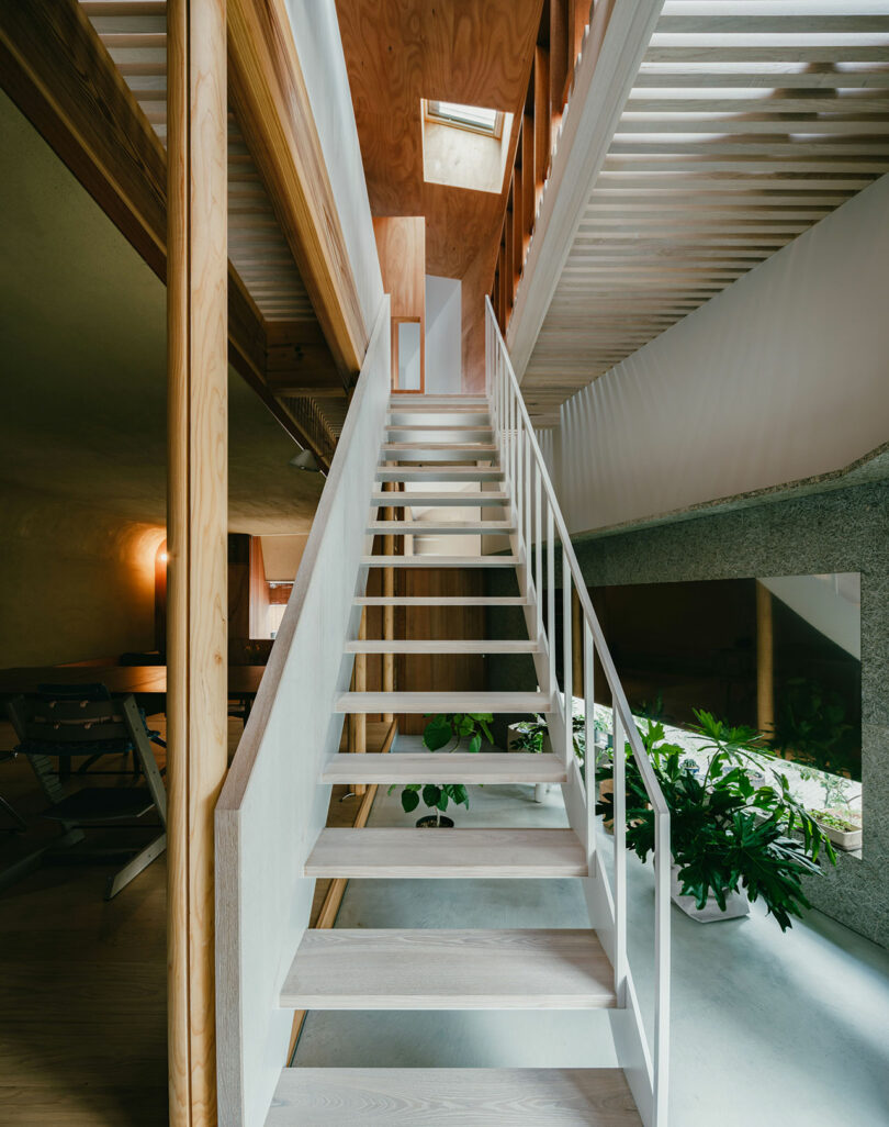 A modern interior showing a white staircase with a wooden handrail, surrounded by wooden and concrete elements, with natural light and green plants at the base.
