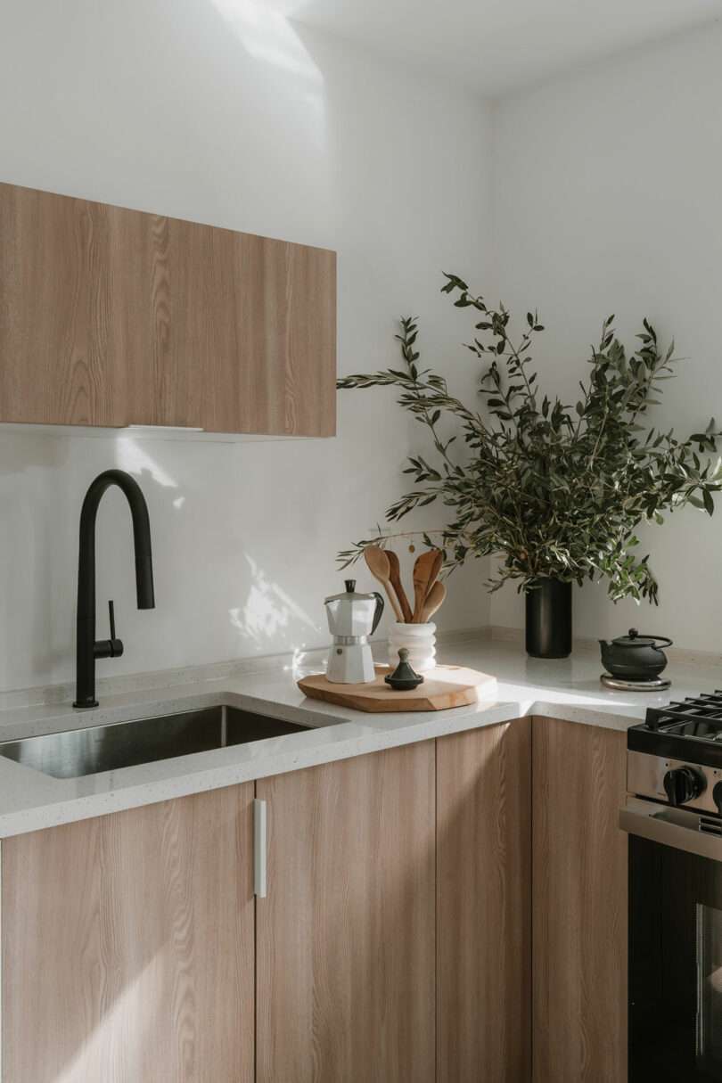 Modern kitchen with light wood cabinets, black faucet, a plant in a black vase, and kitchen items on the countertop near a gas stove. Bright natural light enters the space.