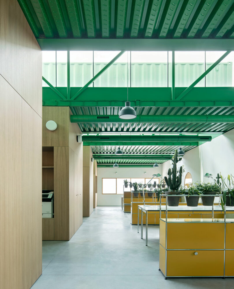 Modern office interior by Impepinable Studio with a green metal ceiling, wood panel walls, yellow storage units, and potted plants on metal shelves. Natural light streams through large windows.