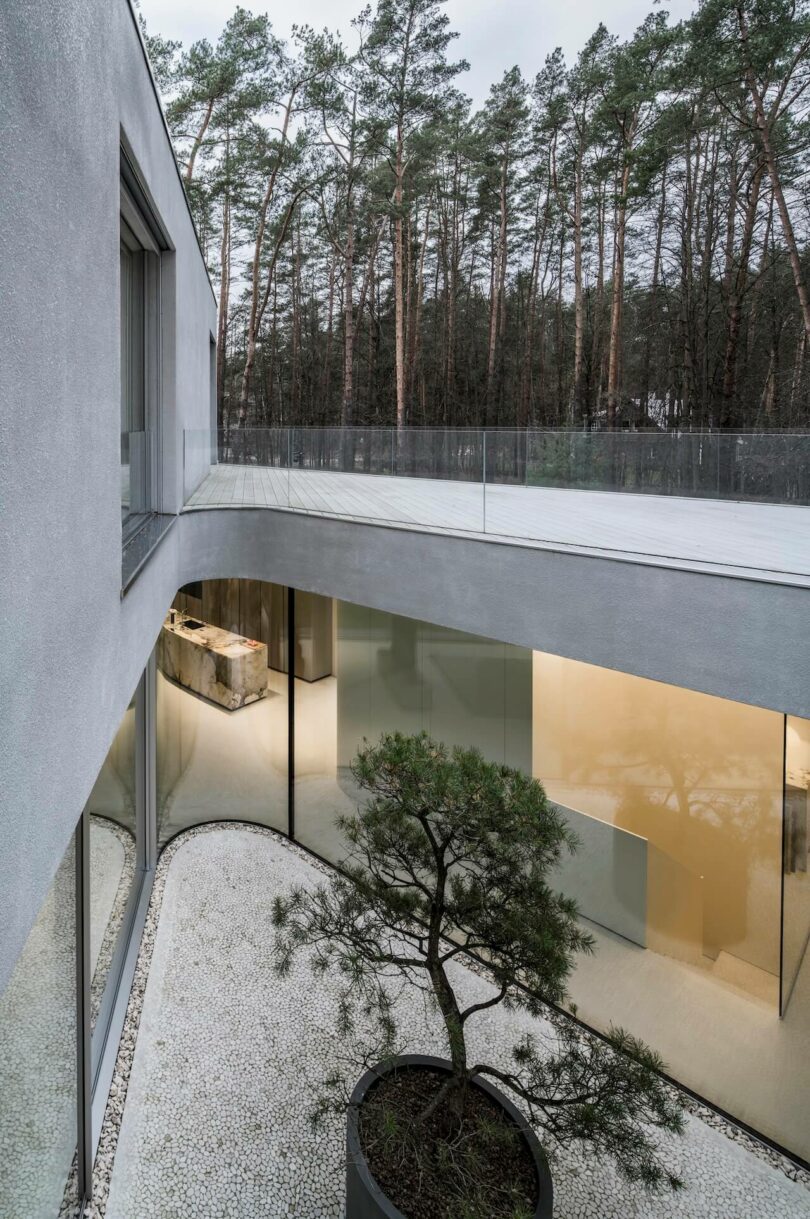 Modern two-story building by KWK Promes with large glass windows, an upper terrace with glass railing, and a courtyard featuring a single potted tree and white gravel, all surrounded by tranquil pine trees.