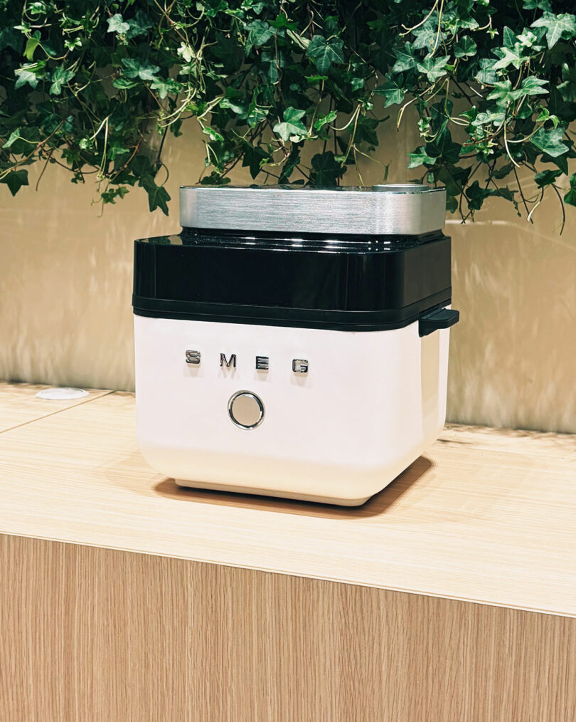 A white SMEG kitchen appliance with a black top sits on a wooden countertop, with green ivy plants hanging in the background.