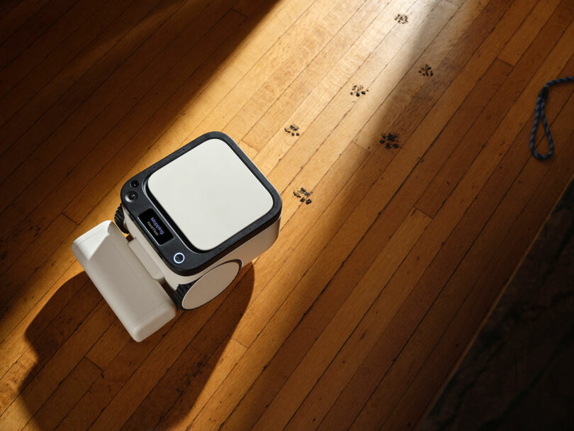 A small robot vacuum cleaner is cleaning paw prints off a wooden floor in a sunlit room.