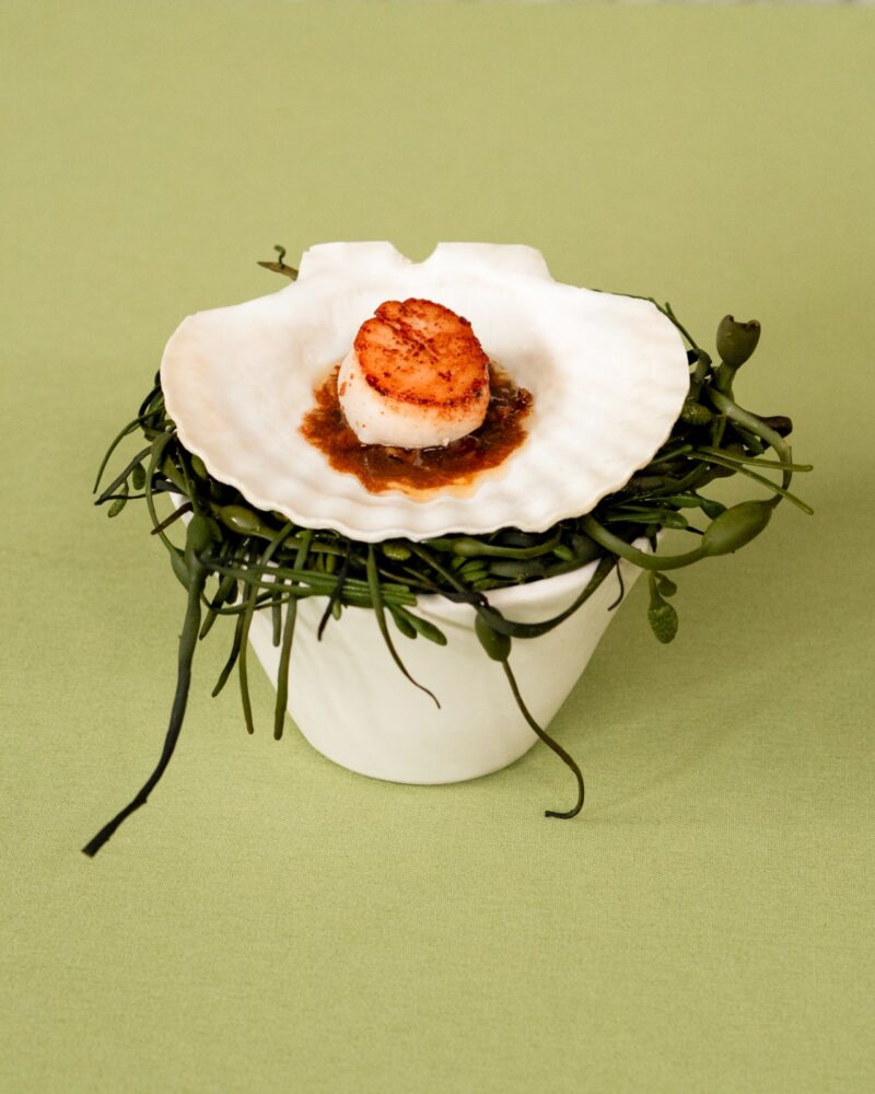 A seared scallop sits on sauce in a white shell, which rests on a bed of green seaweed in a white cup, atop a pale green surface—an elegant Menu Extra to elevate your dining experience.