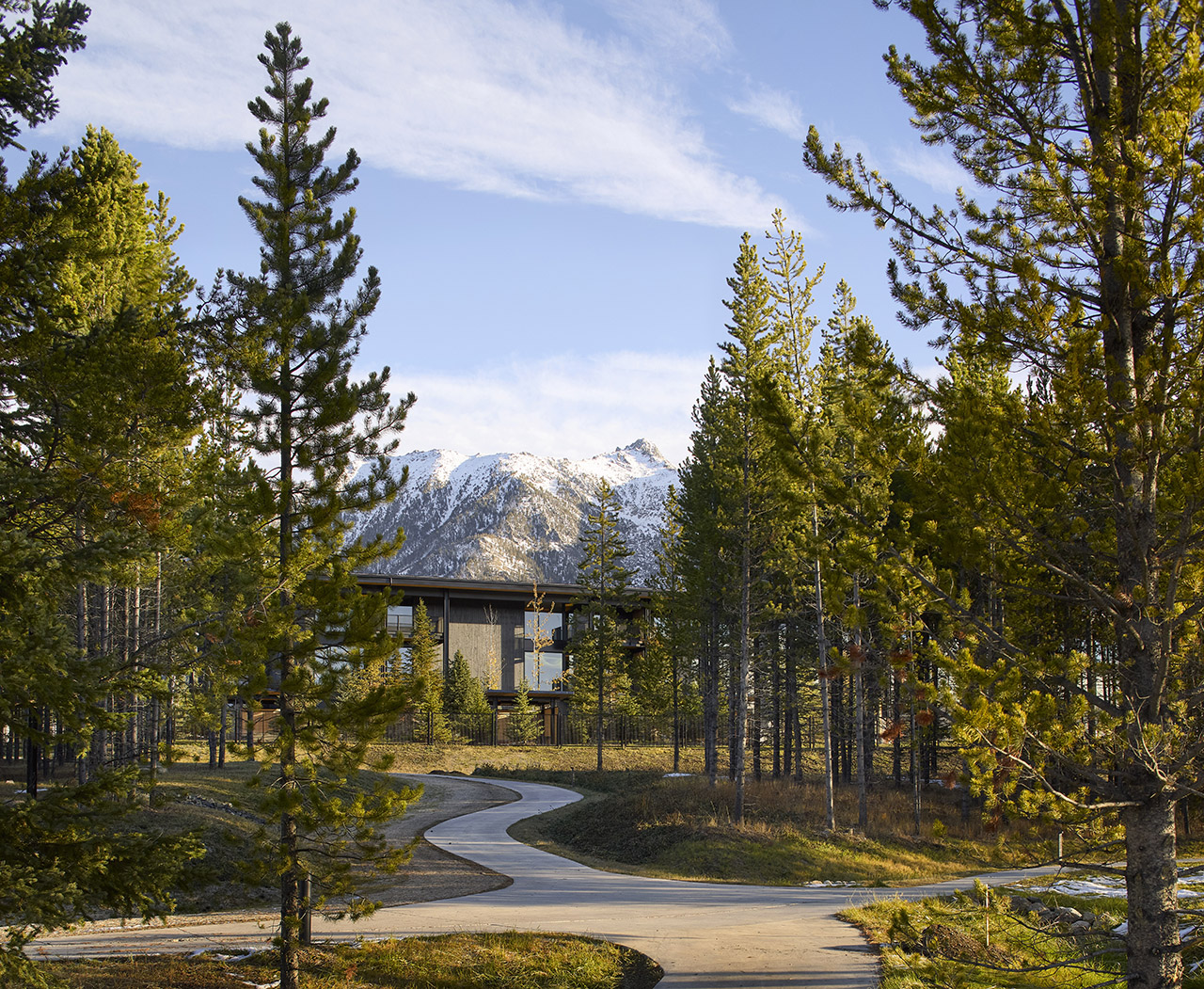 A modern building is partially visible behind pine trees, with a winding driveway in the foreground and snow-capped mountains in the background under a blue sky.