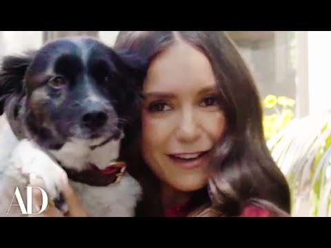 Meet Nina Dobrev's Puppy Maverick