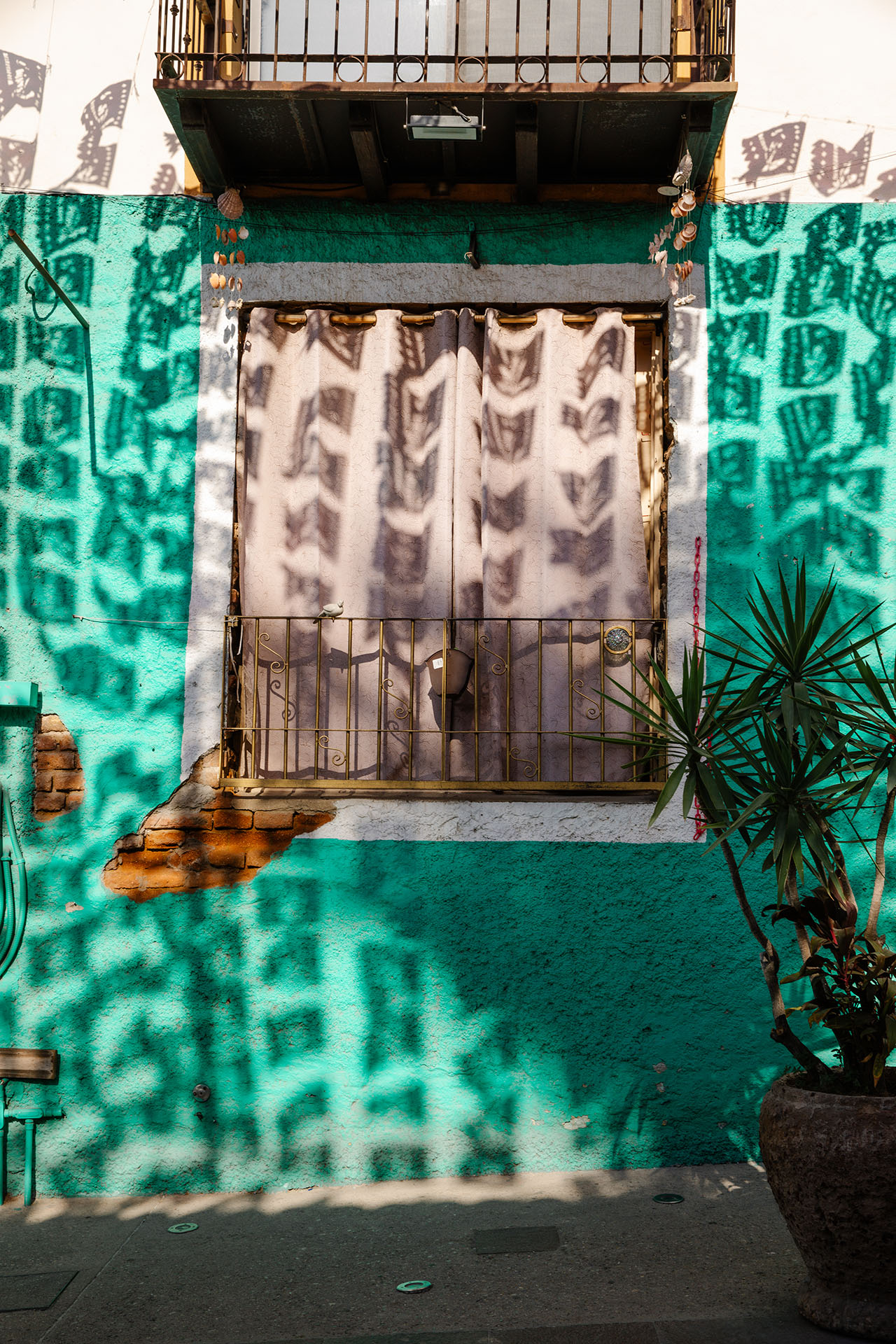 A window with beige curtains and a metal railing set in a teal wall, casting patterned shadows with sunlight. A potted plant stands on the right side.