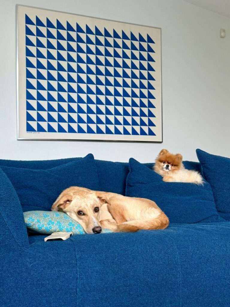 Bryan Young Shares the Places and Designs That Inspire Him