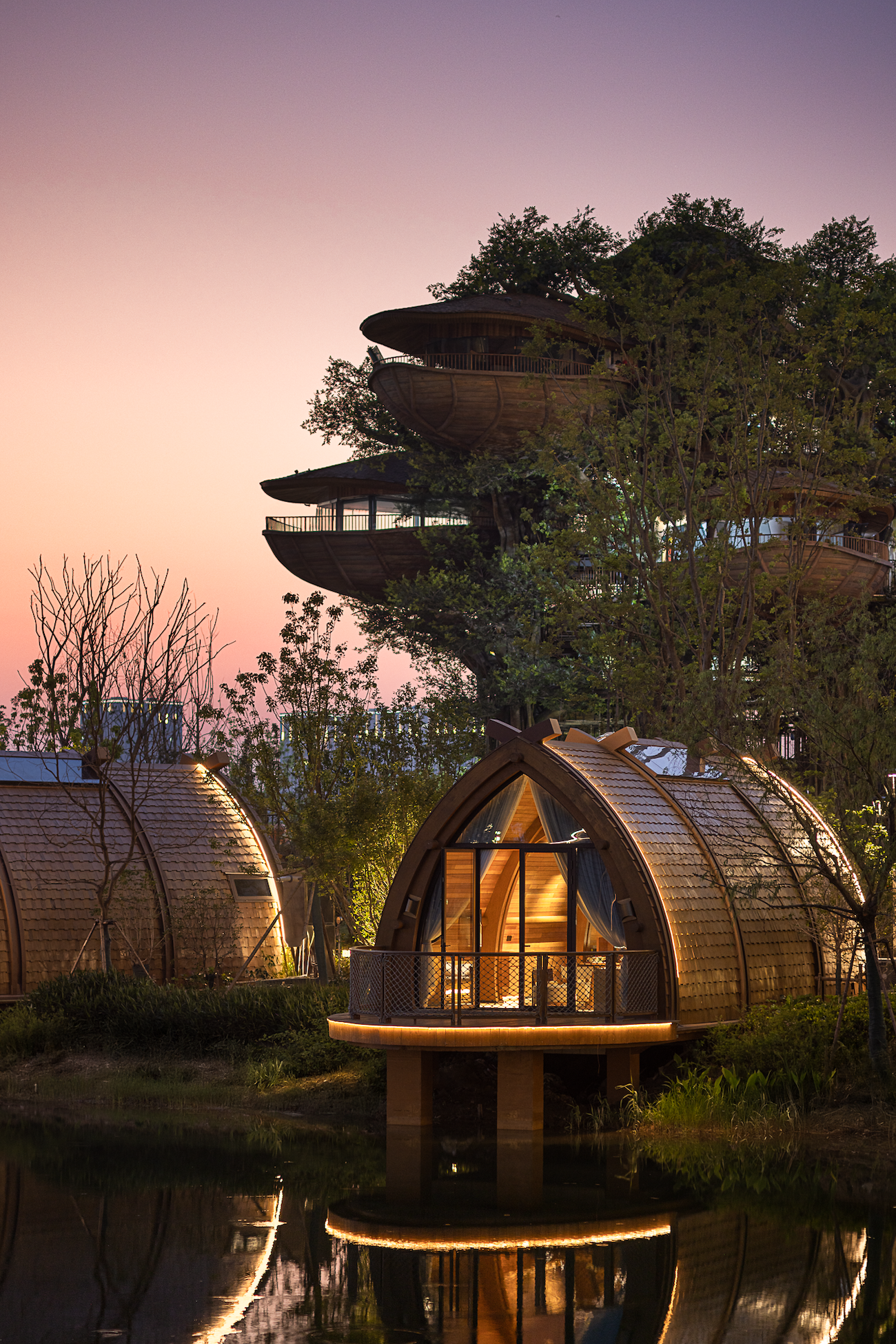 Treehouse hotel suite.
