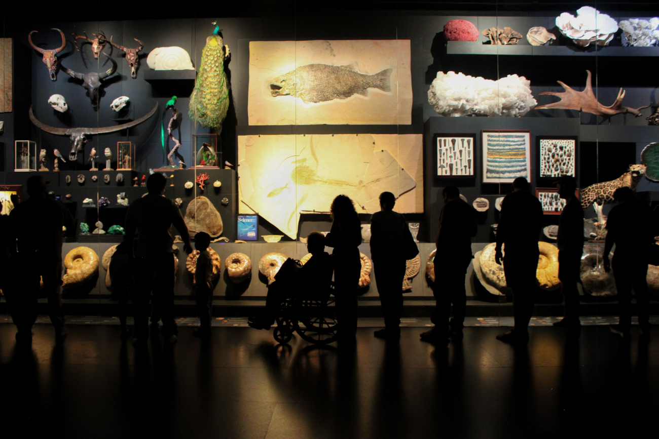 Artworks and items exhibited at La Milarca Museum in Monterrey