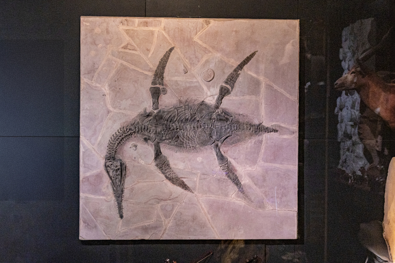 Artworks and items exhibited at La Milarca Museum in Monterrey