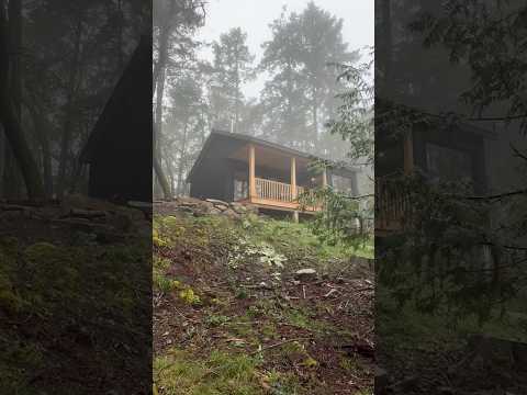 Touring a 700 square foot Modular Home in the Forest! #hometour